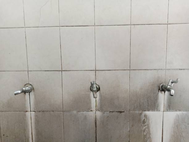 Best Water damage contractors near me  in Georgetown, OH