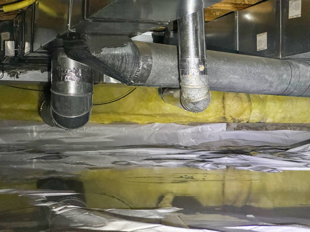 Best Ceiling water damage repair  in Georgetown, OH