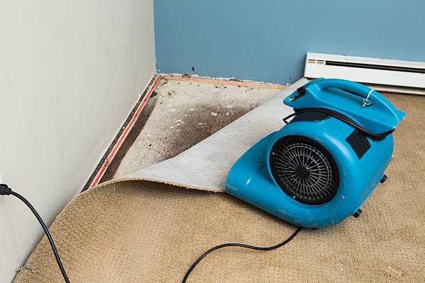 Best Sewage cleanup and water damage restoration  in Georgetown, OH
